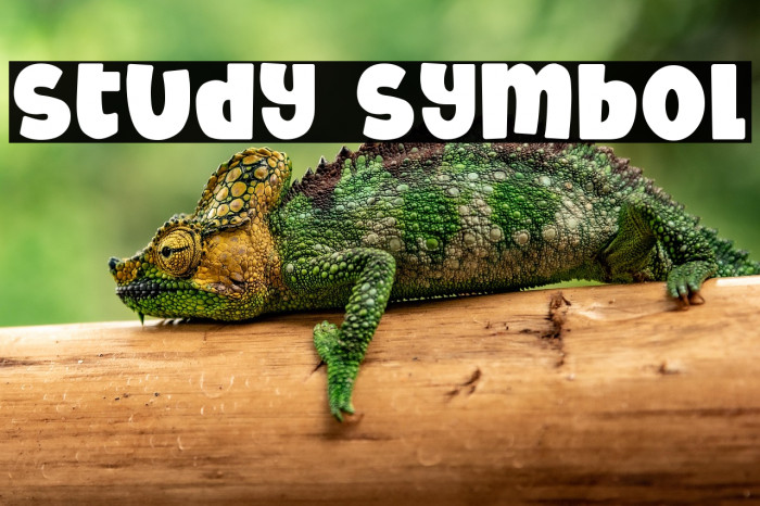 Study Symbol Example 1