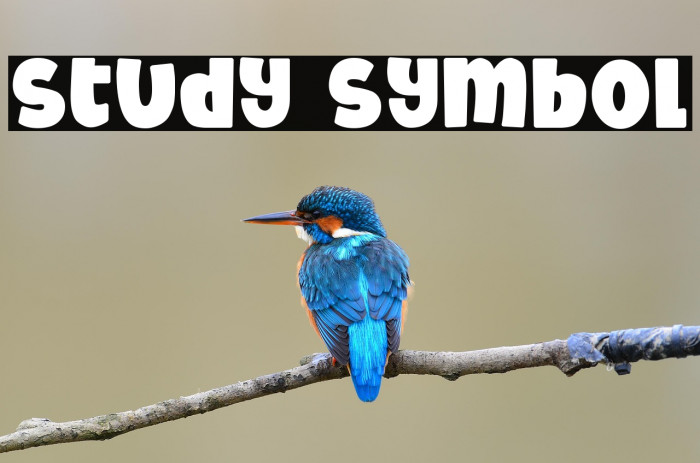 Study Symbol Example 2