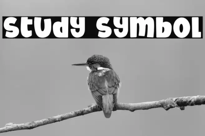 Study Symbol Font examples