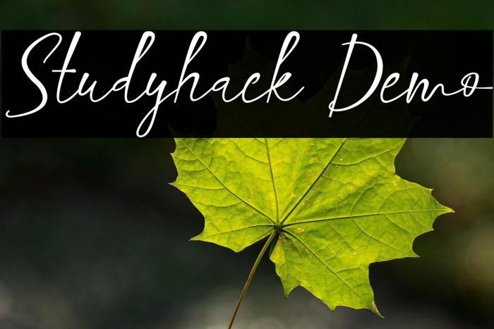 Studyhack Demo Example 2