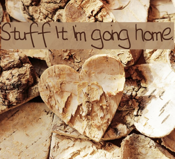 Stuff It. I'm going home. Font examples