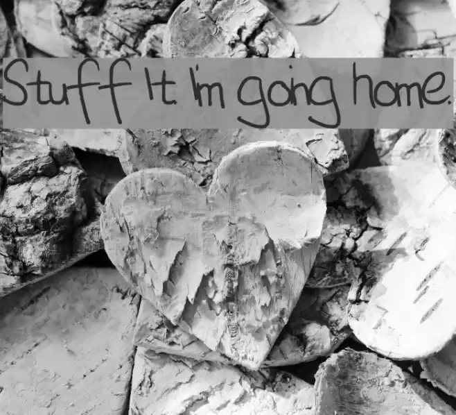 Stuff It. I'm going home. examples