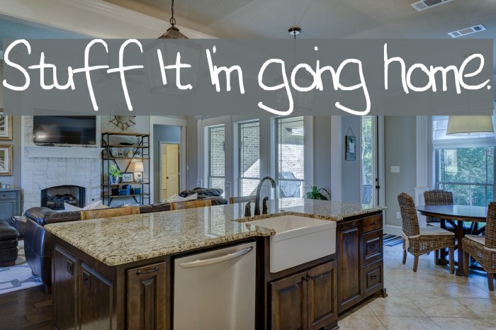 Stuff It. I'm going home. Font examples