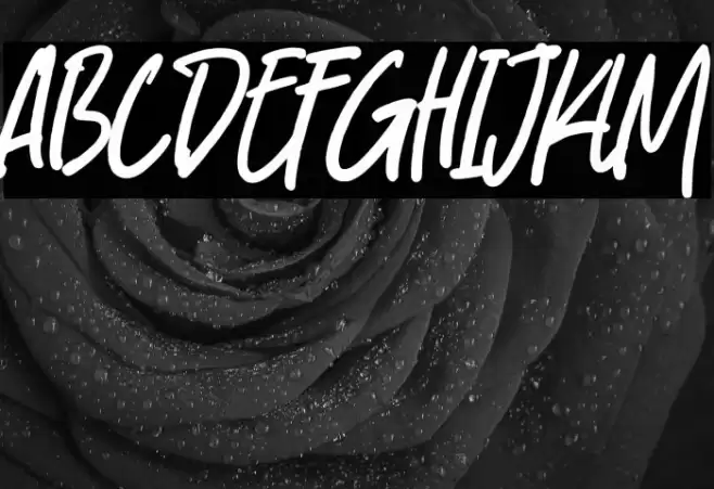 Stuffy Font examples