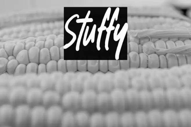 Stuffy Font examples