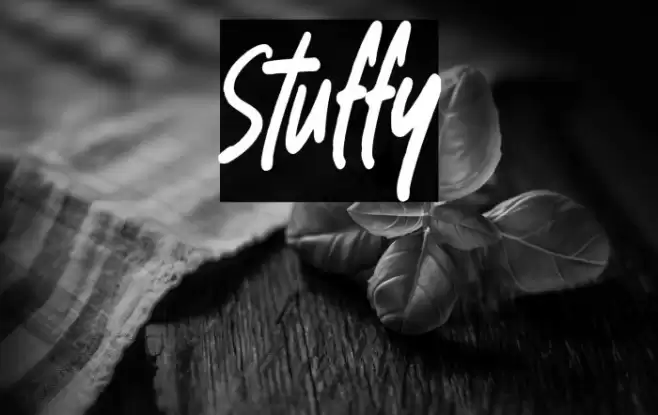 Stuffy Font examples