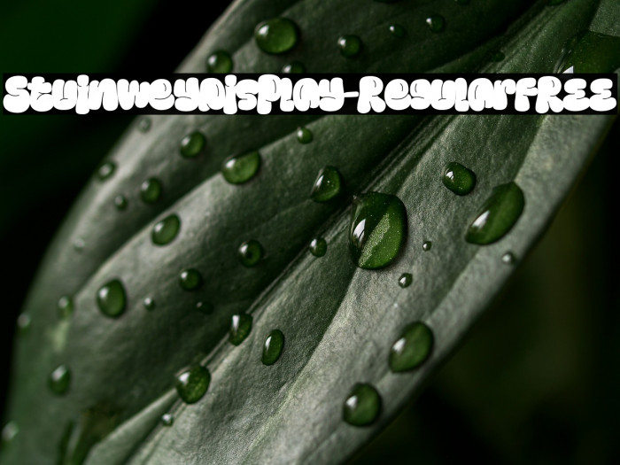 StuinweyDisplay-Regular FREE Example 1