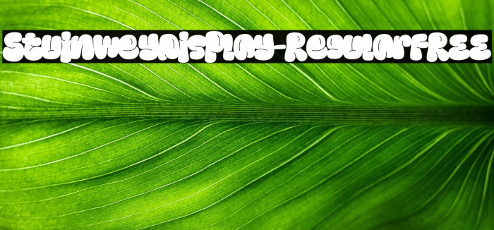 StuinweyDisplay-Regular FREE Example 3