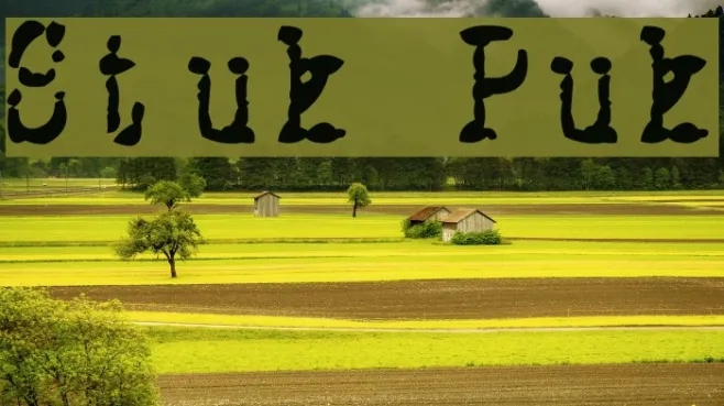 Stuk Puk Example 2