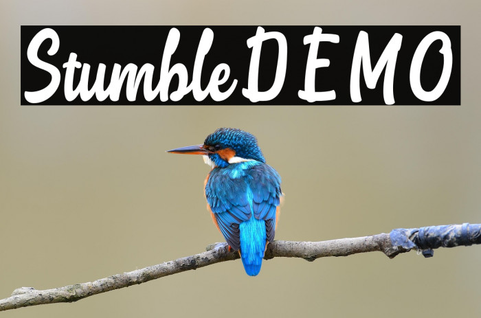 StumbleDEMO Example 1
