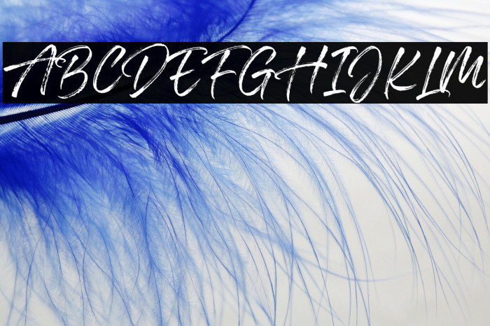 Stunders - Personal Use Example 2