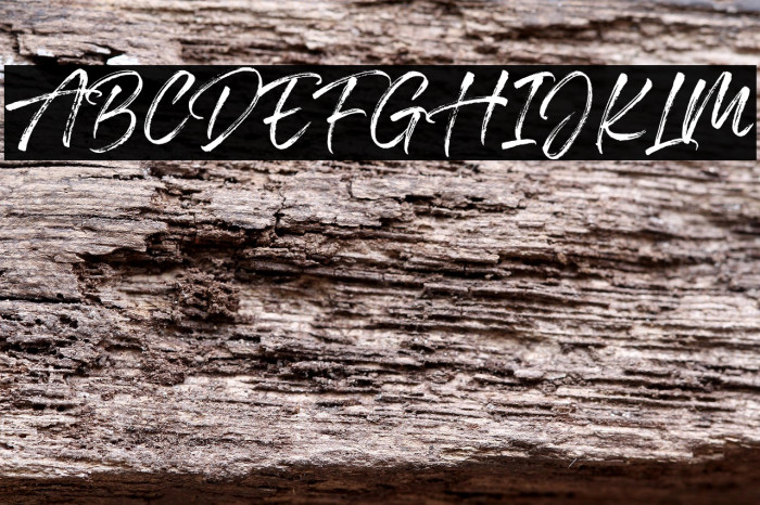 Stunders - Personal Use Example 3