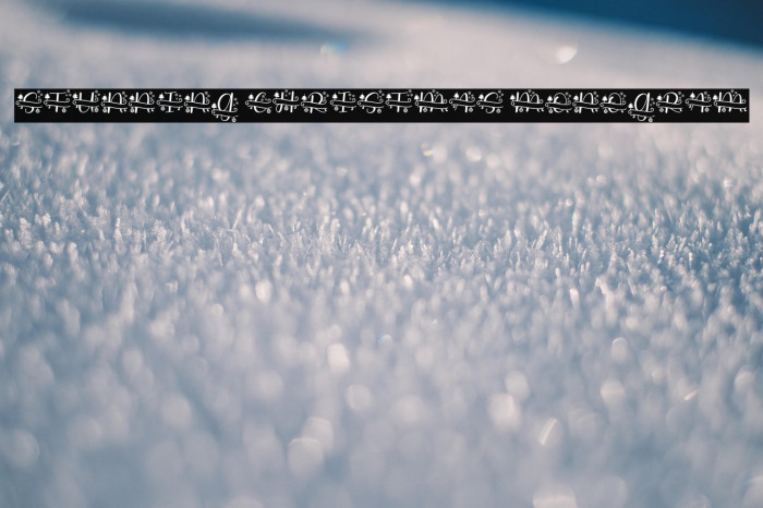 Stunning Christmas Monogram Example 1