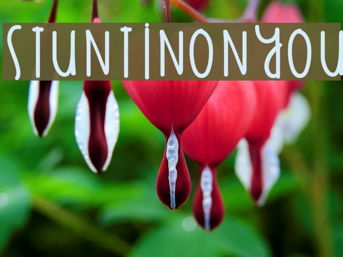 StuntinOnYou Font examples