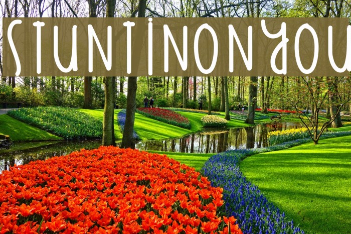 StuntinOnYou Font examples