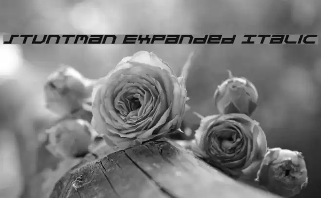 Stuntman Expanded Italic Polices examples
