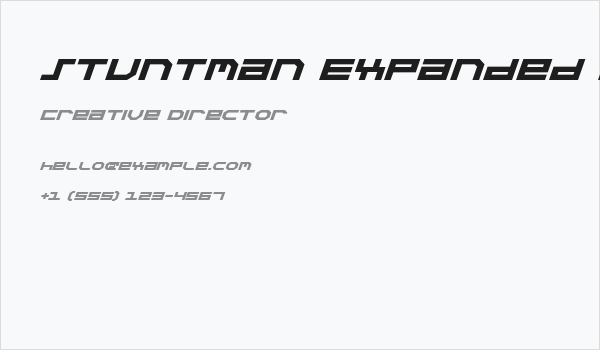 Stuntman Expanded Italic Business Card
