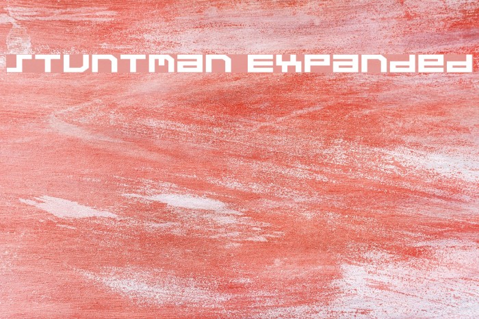 Stuntman Expanded Polices examples