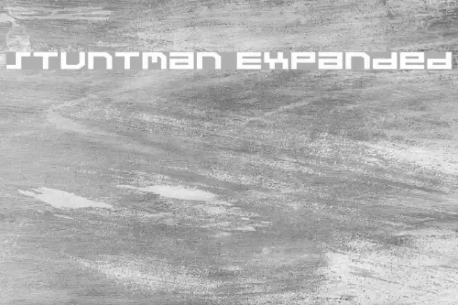 Stuntman Expanded Polices examples