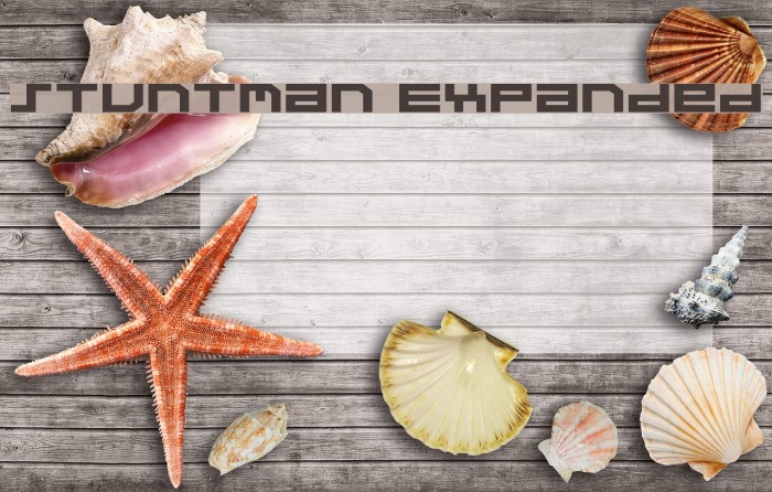 Stuntman Expanded Polices examples