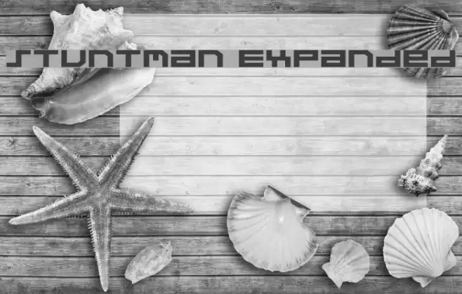 Stuntman Expanded Polices examples