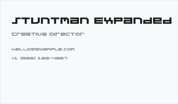 Stuntman Expanded Business Card