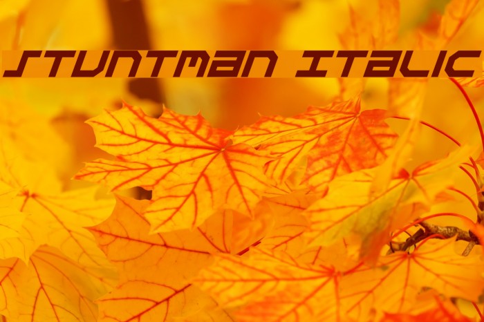 Stuntman Italic Font examples