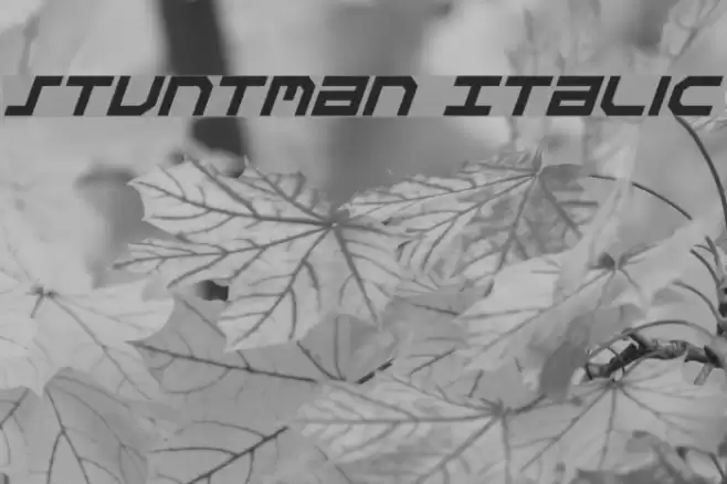 Stuntman Italic フォント examples
