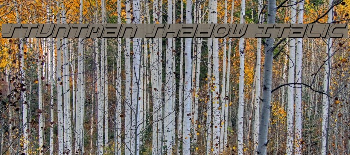 Stuntman Shadow Italic Font examples