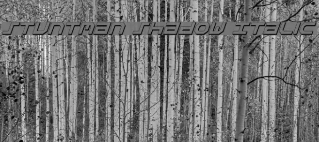 Stuntman Shadow Italic Шрифта examples