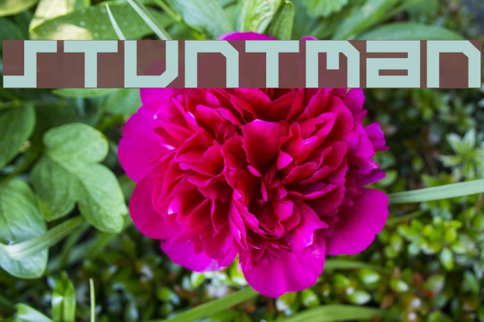 Stuntman Font examples