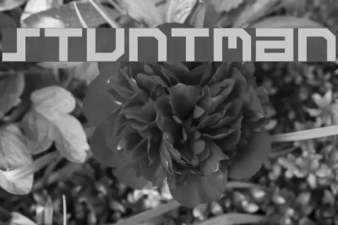 Stuntman Schriftart examples