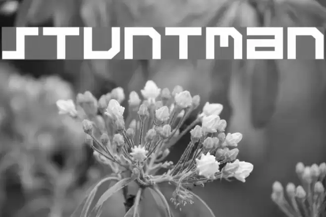 Stuntman Schriftart examples