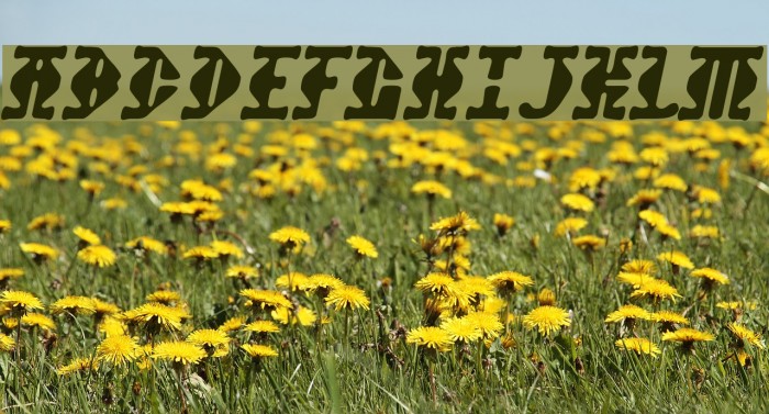 Stupefaction Font examples