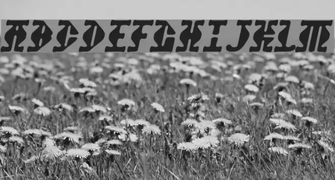 Stupefaction Polices examples