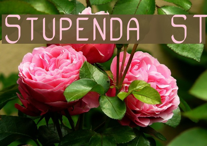 Stupenda ST Font examples