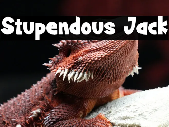 Stupendous Jack Example 3