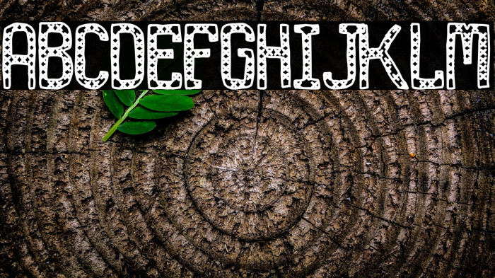 Stupid Fashion Example 1