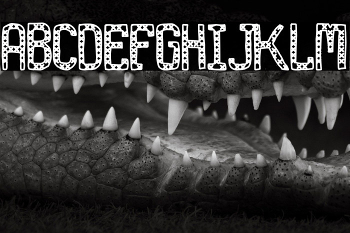 Stupid Fashion Example 3