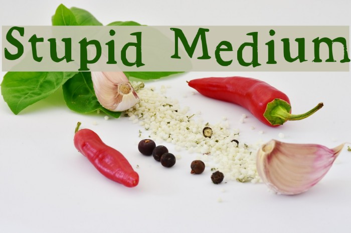 Stupid Medium Example 1