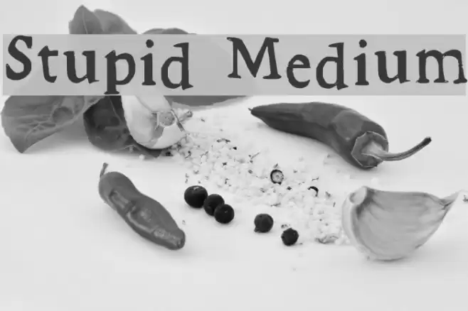 Stupid Medium Font examples