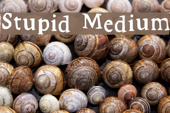 Stupid Medium Example 2