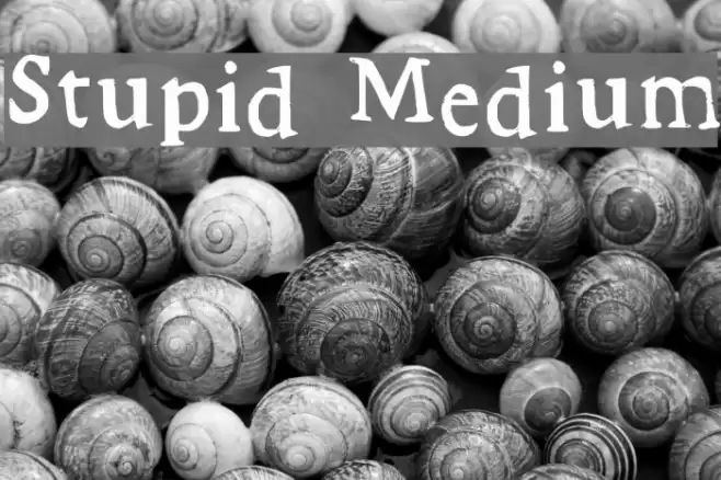 Stupid Medium Font examples