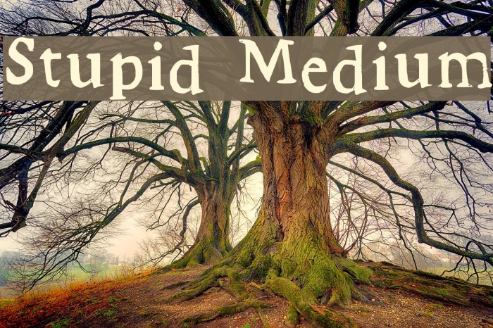 Stupid Medium Example 3