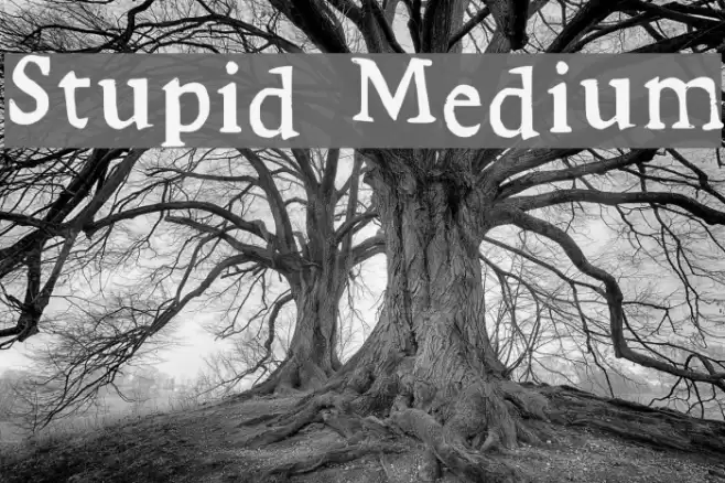 Stupid Medium Font examples