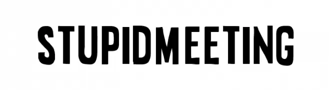 Stupid Meeting  Free Fonts Download
