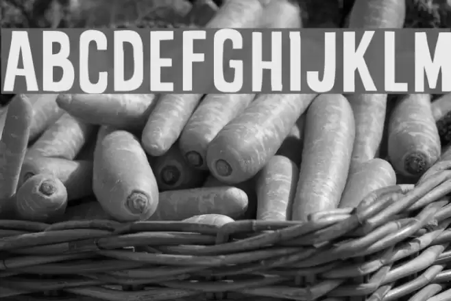 Stupid Meeting Font examples