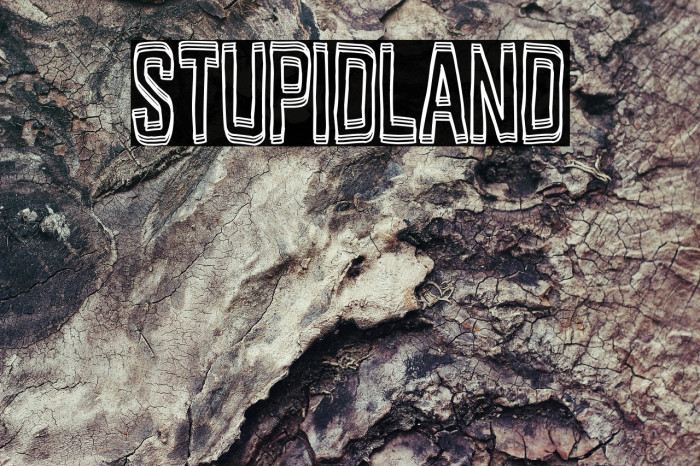 Stupidland Example 1