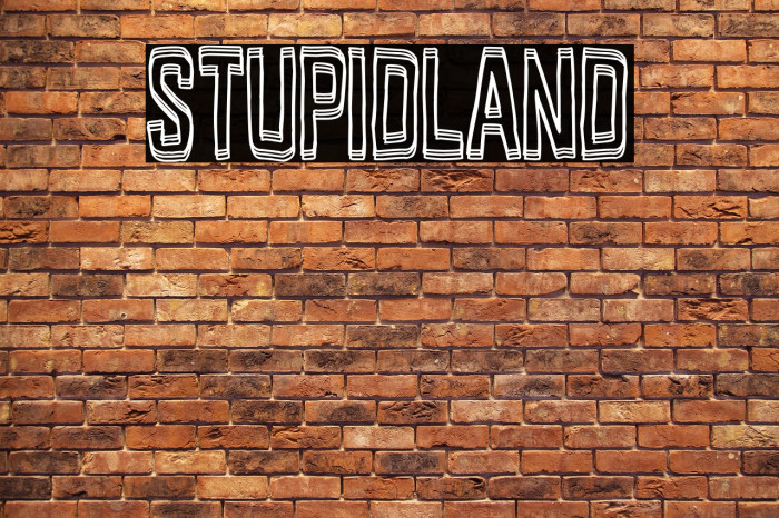 Stupidland Example 2