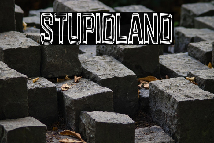 Stupidland Example 3
